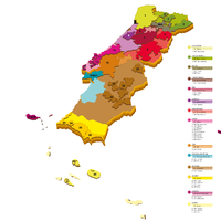 Weinregionen Portugals
