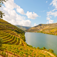 Weinregion Douro portugal