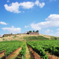 Weinregion Alentejo Portugal