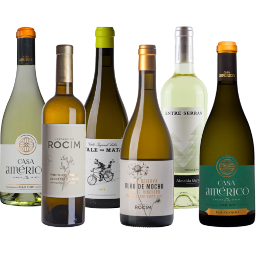 Probierpaket Weißwein