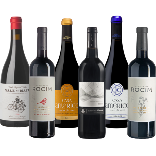 Rotwein Selektion (6er Set)