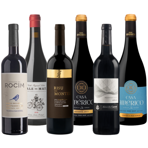 Barrique Rotwein Selektion (6er Set)